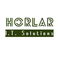 HIS Logo